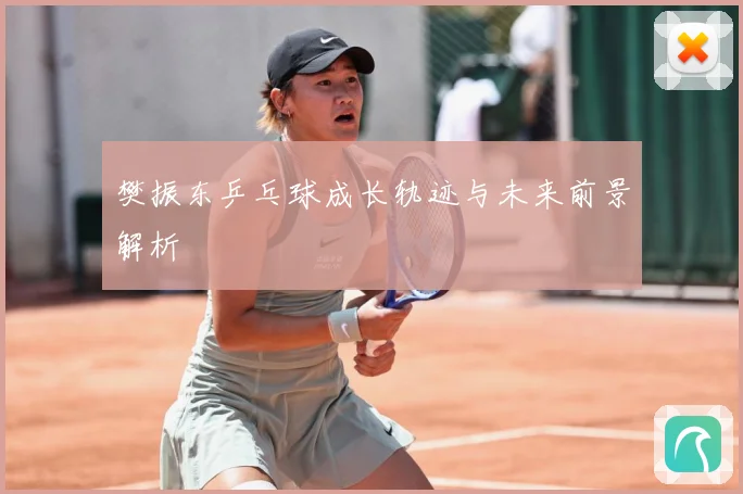 樊振东乒乓球成长轨迹与未来前景解析