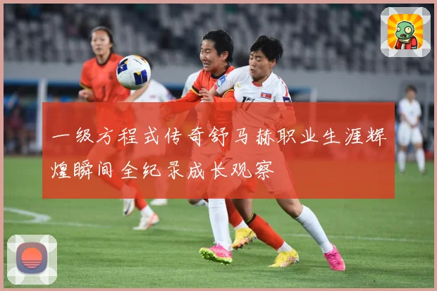 一级方程式传奇舒马赫职业生涯辉煌瞬间全纪录成长观察
