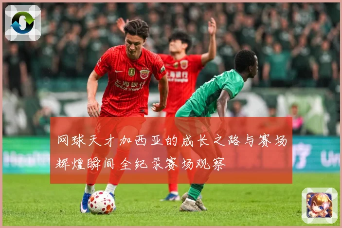 网球天才加西亚的成长之路与赛场辉煌瞬间全纪录赛场观察